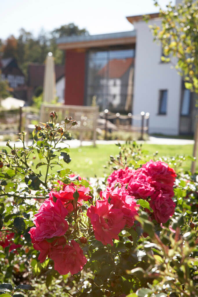 mittendrin im kalletal - Rosen am Teich